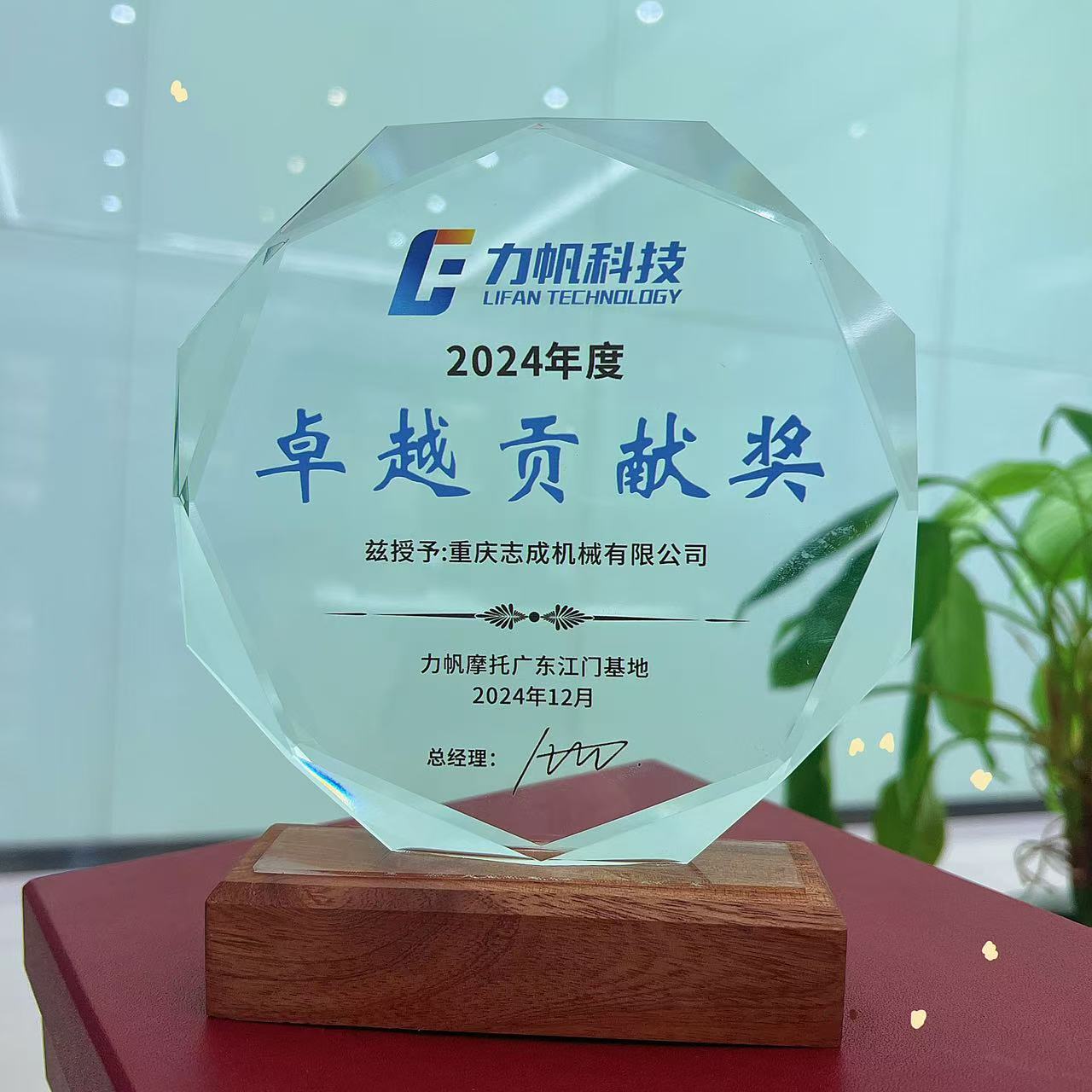 卓越貢獻(xiàn)獎(jiǎng)-力帆科技